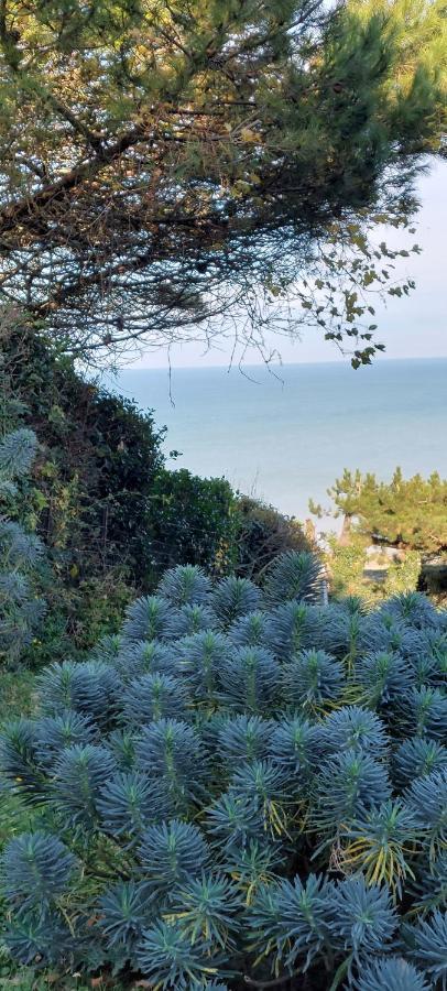 Le Cise Eau A Bois Apartment Le Bois de Cise Ngoại thất bức ảnh